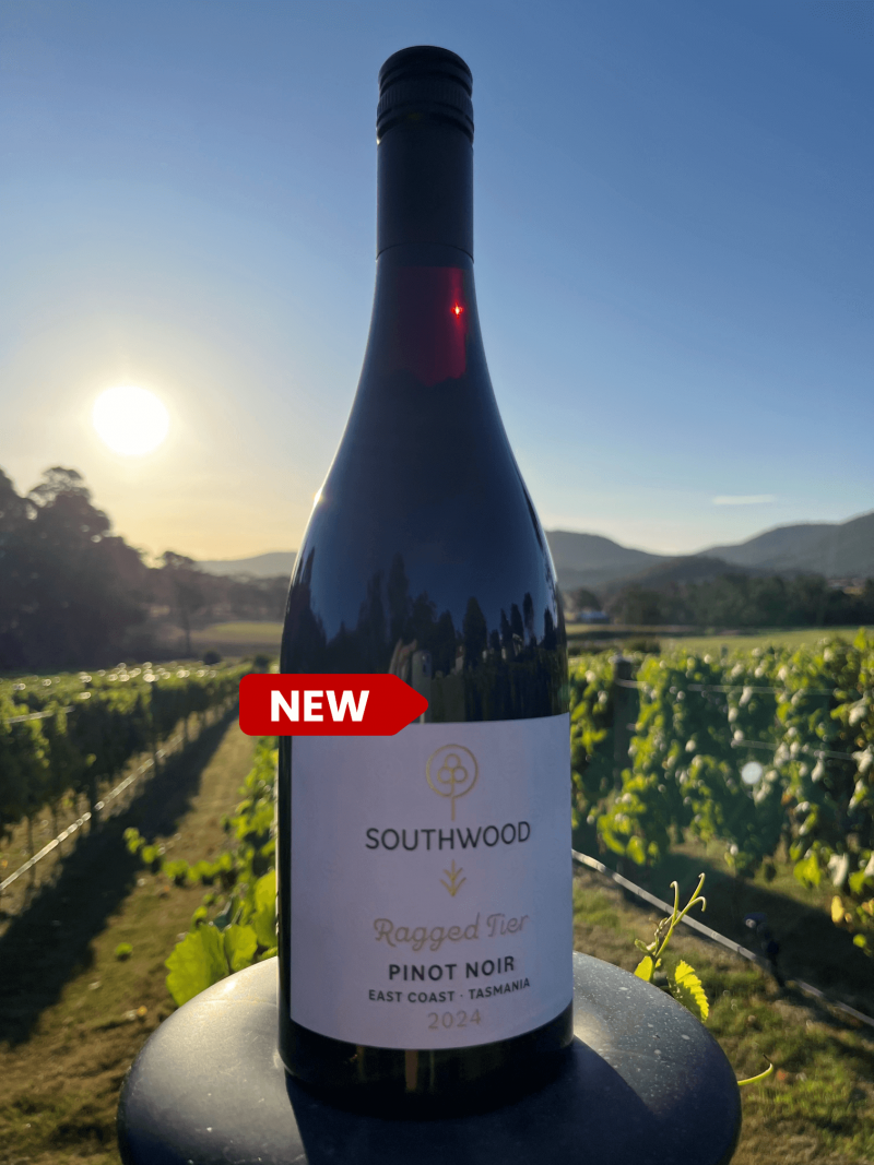 2024 Ragged Tier Pinot Noir
