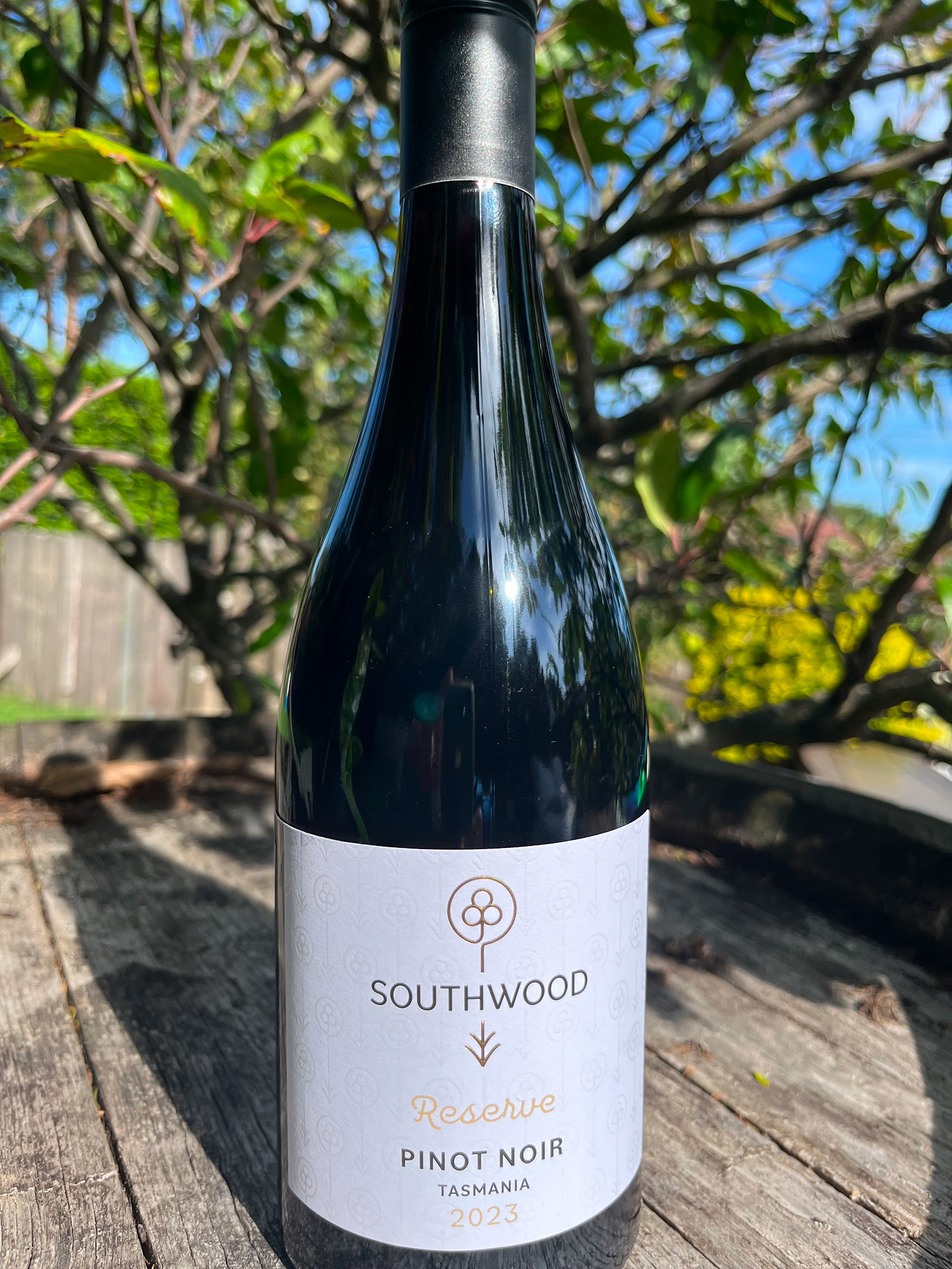 2023 Reserve Pinot Noir