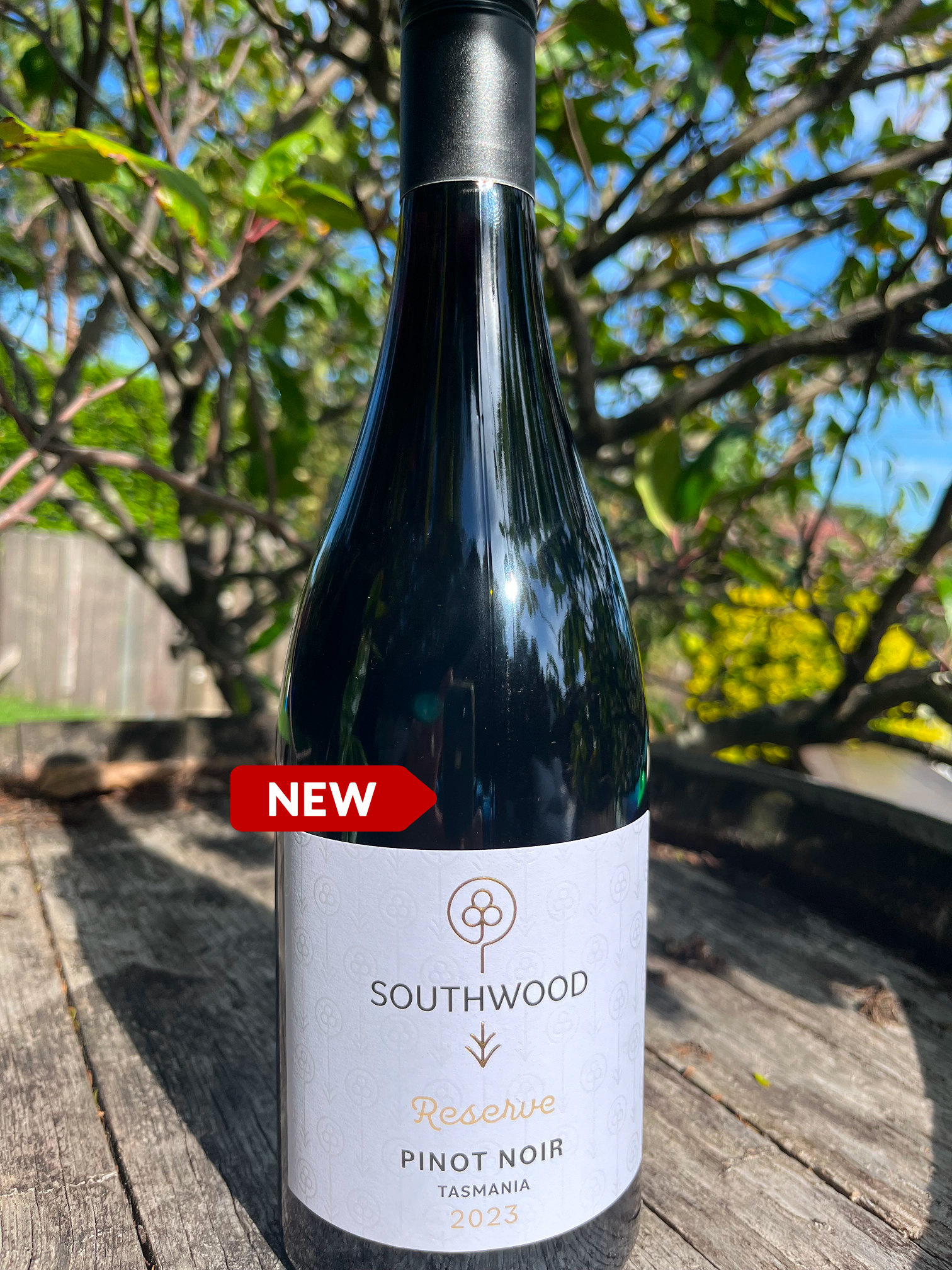 2023 Reserve Pinot Noir - SB