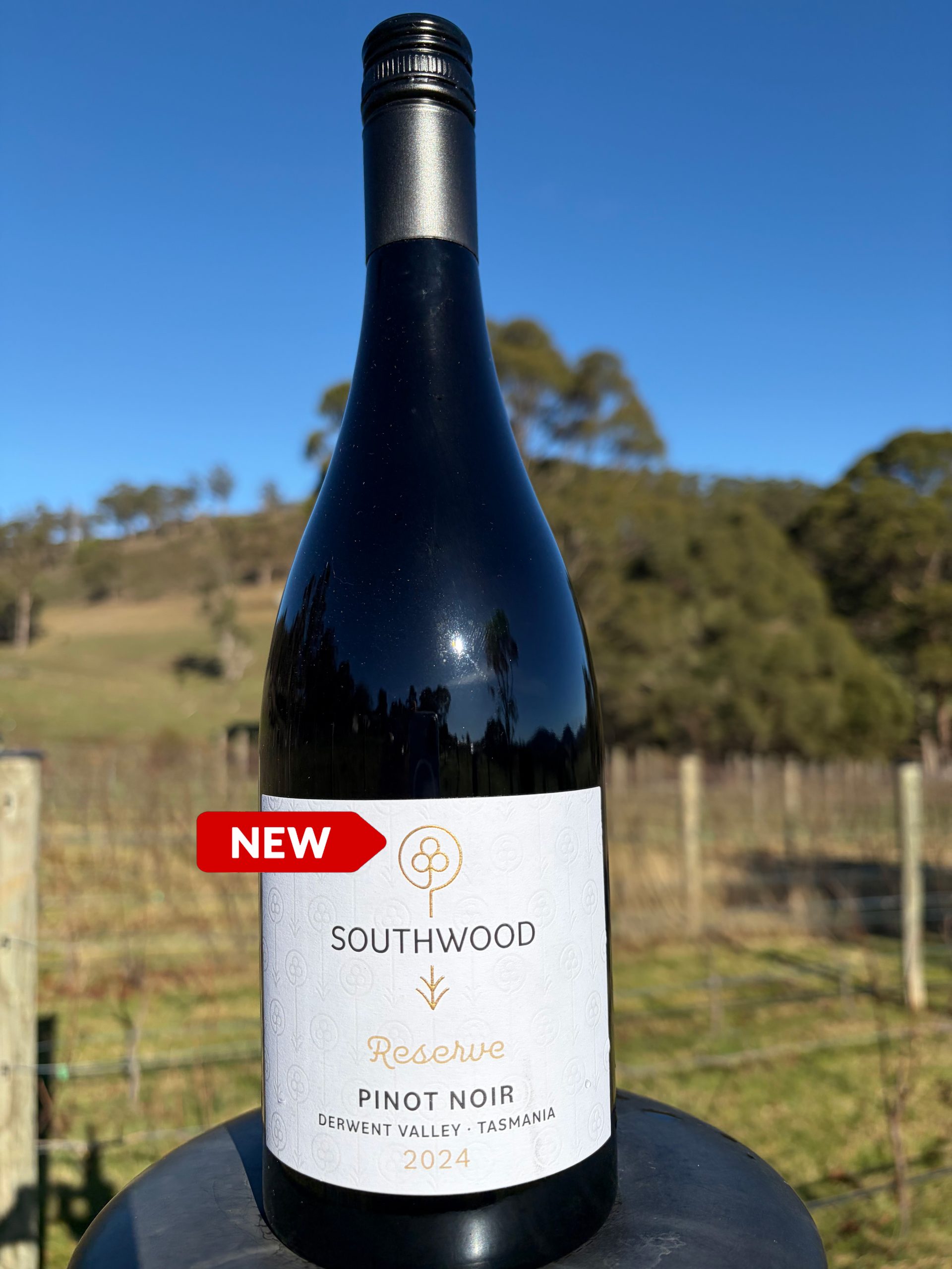 2024 Reserve Pinot Noir