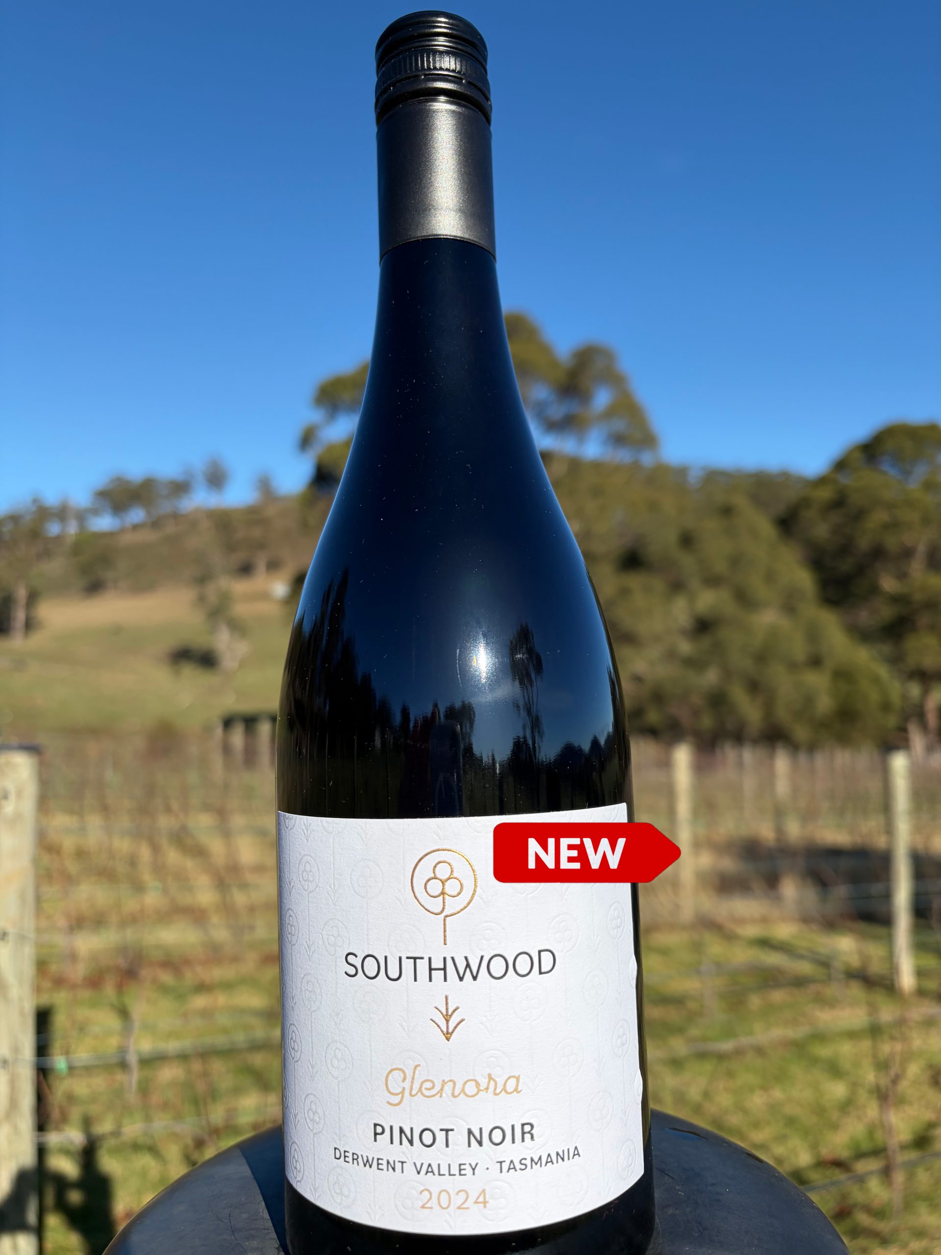 2024 Glenora Pinot Noir
